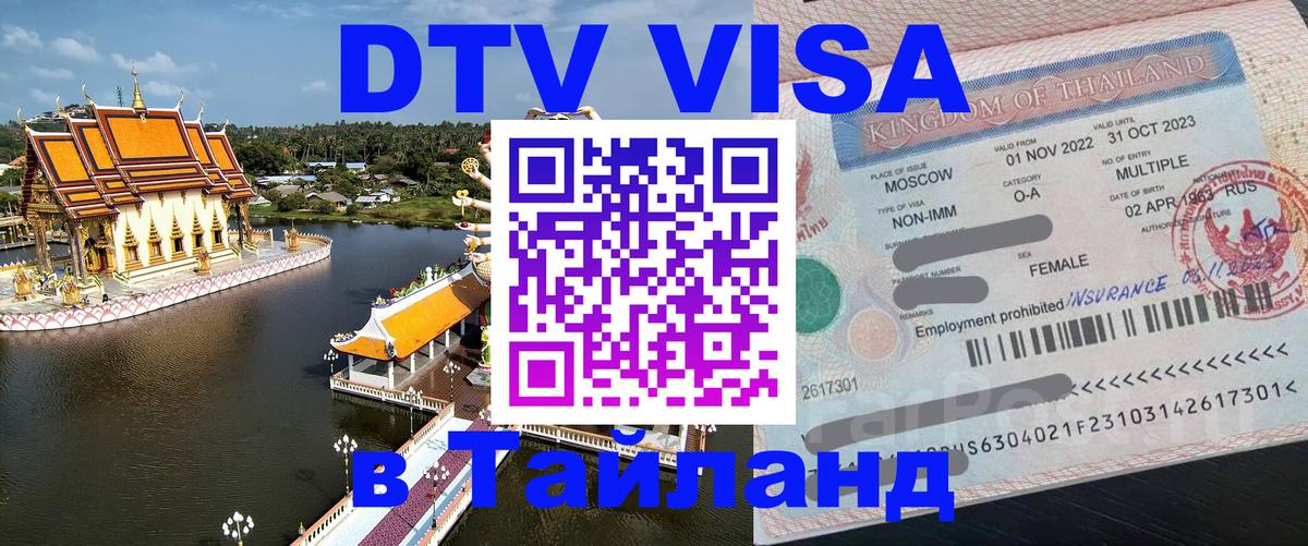 Сколько стоит DTV виза — актуальные цены, оформление даже без документов - 08.01.2026 